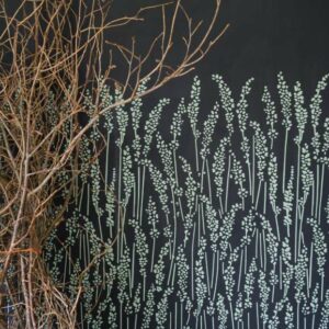 Feather Grass